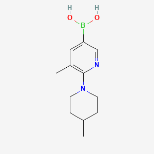 molecular formula C12H19BN2O2 B595031 5-Methyl-6-(4-methylpiperidin-1-yl)pyridin-3-ylboronic acid CAS No. 1354727-02-8