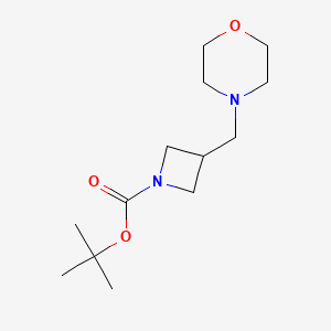 molecular formula C13H24N2O3 B595038 Tert-butyl 3-(morpholinomethyl)azetidine-1-carboxylate CAS No. 1323155-30-1