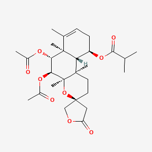 molecular formula C28H40O9 B595044 Scutebata E CAS No. 1207181-61-0