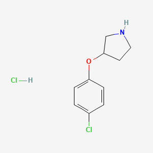 molecular formula C10H13Cl2NO B595046 3-(4-Chlorophenoxy)pyrrolidine hydrochloride CAS No. 1260843-12-6