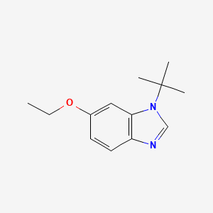 molecular formula C13H18N2O B595087 1-tert-Butyl-6-ethoxybenzimidazole CAS No. 1314987-30-8