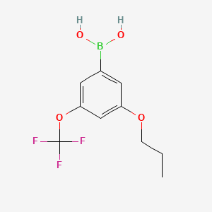 molecular formula C10H12BF3O4 B595116 (3-Propoxy-5-(trifluoromethoxy)phenyl)boronic acid CAS No. 1256346-02-7
