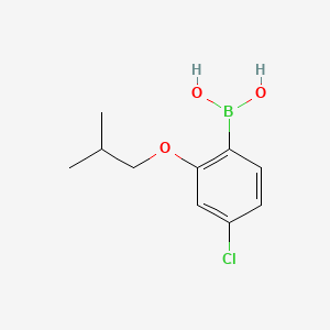 molecular formula C10H14BClO3 B595147 4-Chloro-2-isobutoxyphenylboronic acid CAS No. 1256355-06-2