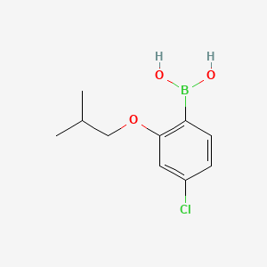 4-Chloro-2-isobutoxyphenylboronic acid