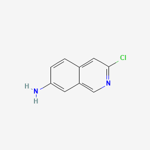 molecular formula C9H7ClN2 B595148 3-Chloroisoquinolin-7-amine CAS No. 1374651-87-2