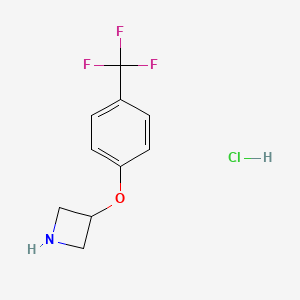 molecular formula C10H11ClF3NO B595160 3-(4-(Trifluoromethyl)phenoxy)azetidine hydrochloride CAS No. 1236862-38-6