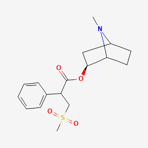 molecular formula C17H23NO4S B595254 (2S)-7-Methyl-7-azabicyclo[2.2.1]heptan-2-yl 3-(methylsulfonyl)-2-phenylpropanoate CAS No. 1313716-46-9