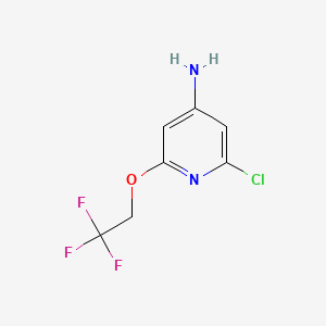 2-Chloro-6-(2,2,2-trifluoroethoxy)pyridin-4-amine