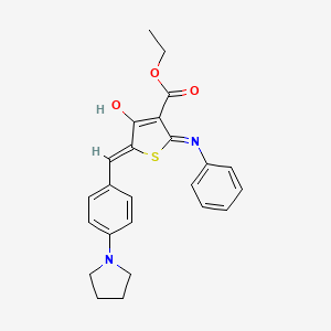 molecular formula C24H24N2O3S B5953383 ETHYL (5Z)-4-OXO-2-(PHENYLAMINO)-5-{[4-(PYRROLIDIN-1-YL)PHENYL]METHYLIDENE}-4,5-DIHYDROTHIOPHENE-3-CARBOXYLATE 