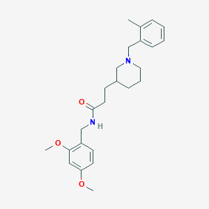 molecular formula C25H34N2O3 B5953412 N-(2,4-dimethoxybenzyl)-3-[1-(2-methylbenzyl)-3-piperidinyl]propanamide 