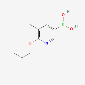 molecular formula C10H16BNO3 B595597 6-异丁氧基-5-甲基吡啶-3-硼酸 CAS No. 1256355-19-7