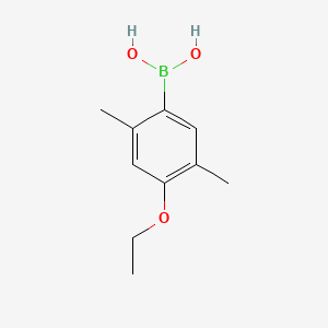 molecular formula C10H15BO3 B595599 (4-乙氧基-2,5-二甲基苯基)硼酸 CAS No. 1217500-56-5