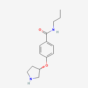 molecular formula C14H20N2O2 B595610 (S)-N-Propyl-4-(pyrrolidin-3-yloxy)benzamide CAS No. 1212151-59-1