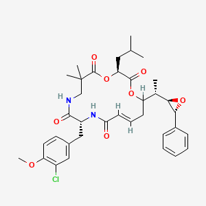 B595616 Cyclo(2,2-dimethyl-beta-alanyl-(2S)-2-hydroxy-4-methylpentanoyl-(2E,5S,6S)-5-hydroxy-6-((2R,3R)-3-phenyloxiranyl)-2-heptenoyl-3-chloro-O-methyl-D-tyrosyl) CAS No. 186256-67-7