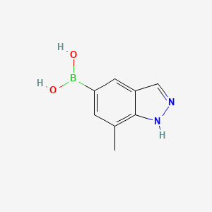 molecular formula C8H9BN2O2 B595758 7-Methyl-1H-indazole-5-boronic acid CAS No. 1245816-07-2