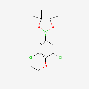 molecular formula C15H21BCl2O3 B595761 2-(3,5-Dichloro-4-isopropoxyphenyl)-4,4,5,5-tetramethyl-1,3,2-dioxaborolane CAS No. 1218790-28-3
