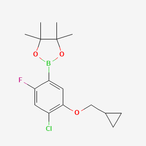 molecular formula C16H21BClFO3 B595797 2-(4-Chloro-5-(cyclopropylmethoxy)-2-fluorophenyl)-4,4,5,5-tetramethyl-1,3,2-dioxaborolane CAS No. 1256360-17-4