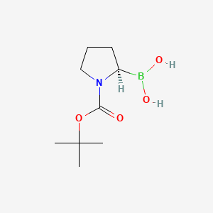 molecular formula C9H18BNO4 B595852 N-Boc-Pyrrolidin-2-(R)-ylboronic acid CAS No. 149716-78-9