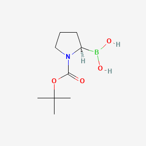 N-Boc-Pyrrolidin-2-(R)-ylboronic acid