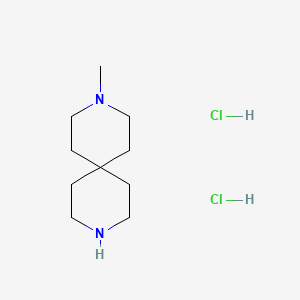 molecular formula C10H22Cl2N2 B595863 3-Methyl-3,9-diazaspiro[5.5]undecane dihydrochloride CAS No. 13323-42-7