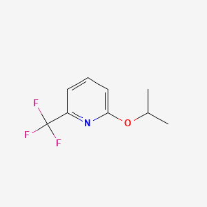 molecular formula C9H10F3NO B595944 2-Isopropoxy-6-(trifluoromethyl)pyridine CAS No. 1255574-41-4