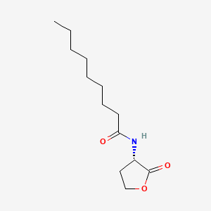 molecular formula C13H23NO3 B595969 N-nonanoyl-L-Homoserine lactone 