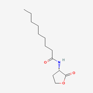 molecular formula C13H23NO3 B595969 N-nonanoyl-L-Homoserine lactone CAS No. 177158-21-3