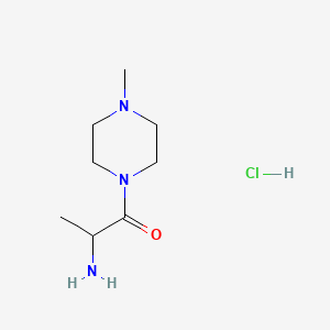 molecular formula C8H18ClN3O B596011 2-Amino-1-(4-methyl-1-piperazinyl)-1-propanone hydrochloride CAS No. 1236254-86-6