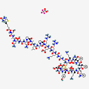 molecular formula C148H223N43O42S3 B596024 Biotinyl-(Leu8,D-Trp22,Tyr25)-Somatostatin-28 Trifluoroacetate CAS No. 143519-58-8