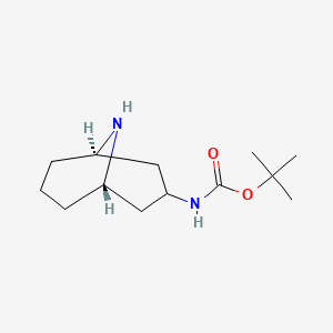 molecular formula C13H24N2O2 B596029 Endo-3-(boc-amino)-9-azabicyclo[3.3.1]nonane CAS No. 155560-04-6