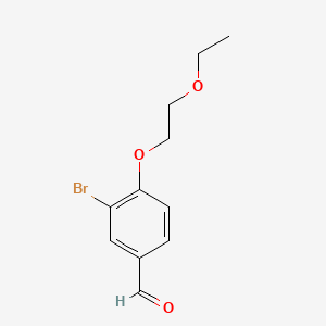 molecular formula C11H13BrO3 B596047 3-Bromo-4-(2-ethoxyethoxy)benzaldehyde CAS No. 1341950-98-8