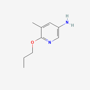 molecular formula C9H14N2O B596059 5-Methyl-6-propoxypyridin-3-amine CAS No. 1250966-42-7