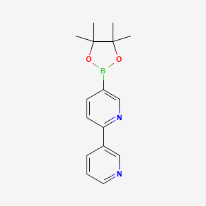 molecular formula C16H19BN2O2 B596111 6-(Pyridin-3-yl)pyridine-3-boronic acid pinacol ester CAS No. 1260106-29-3