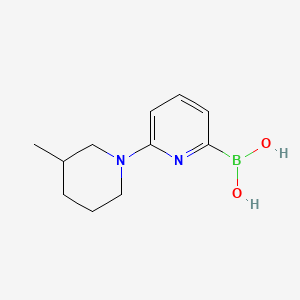 molecular formula C11H17BN2O2 B596124 (6-(3-Methylpiperidin-1-yl)pyridin-2-yl)boronic acid CAS No. 1310383-50-6