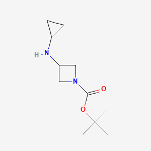 molecular formula C11H20N2O2 B596128 tert-Butyl 3-(cyclopropylamino)azetidine-1-carboxylate CAS No. 1342433-96-8