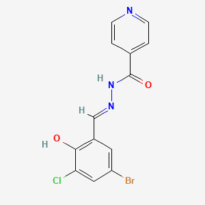 molecular formula C13H9BrClN3O2 B5961338 N'-[(E)-(5-bromo-3-chloro-2-hydroxyphenyl)methylidene]pyridine-4-carbohydrazide 