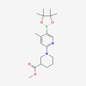 molecular formula C19H29BN2O4 B596156 Methyl 1-(4-methyl-5-(4,4,5,5-tetramethyl-[1,3,2]dioxaborolan-2-yl)pyridin-2-yl)piperidine-3-carboxylate CAS No. 1356363-82-0