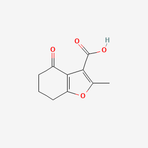 molecular formula C10H10O4 B596176 2-Methyl-4-oxo-4,5,6,7-tetrahydro-1-benzofuran-3-carboxylic acid CAS No. 103204-90-6