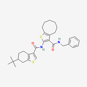 molecular formula C31H38N2O2S2 B5961903 N-benzyl-2-{[(6-tert-butyl-4,5,6,7-tetrahydro-1-benzothiophen-3-yl)carbonyl]amino}-4,5,6,7,8,9-hexahydrocycloocta[b]thiophene-3-carboxamide 