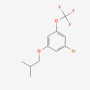 molecular formula C11H12BrF3O2 B596203 1-溴-3-异丁氧基-5-(三氟甲氧基)苯 CAS No. 1221793-64-1
