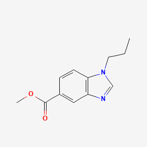molecular formula C12H14N2O2 B596304 Methyl 1-propylbenzoimidazole-5-carboxylate CAS No. 1355247-11-8