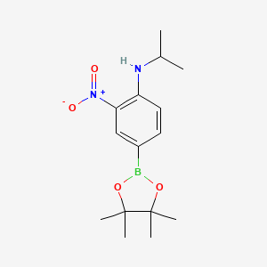 molecular formula C15H23BN2O4 B596335 N-Isopropyl-2-nitro-4-(4,4,5,5-tetramethyl-1,3,2-dioxaborolan-2-yl)aniline CAS No. 1218791-21-9