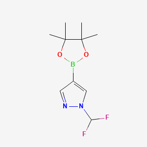 molecular formula C10H15BF2N2O2 B596349 1-(Difluoromethyl)-4-(4,4,5,5-tetramethyl-1,3,2-dioxaborolan-2-yl)-1H-pyrazole CAS No. 1206640-82-5