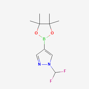 1-(Difluoromethyl)-4-(4,4,5,5-tetramethyl-1,3,2-dioxaborolan-2-yl)-1H-pyrazole