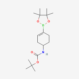 molecular formula C17H30BNO4 B596365 tert-Butyl (4-(4,4,5,5-tetramethyl-1,3,2-dioxaborolan-2-yl)cyclohex-3-en-1-yl)carbamate CAS No. 1251732-64-5