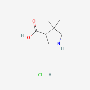 molecular formula C7H14ClNO2 B596378 4,4-二甲基吡咯烷-3-羧酸盐酸盐 CAS No. 1351343-41-3