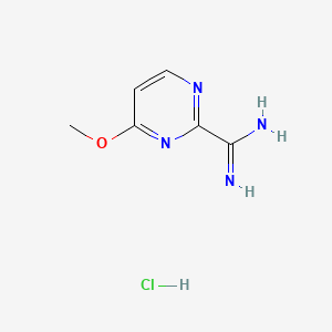 molecular formula C6H9ClN4O B596443 4-Methoxypyrimidine-2-carboximidamide hydrochloride CAS No. 1363383-07-6