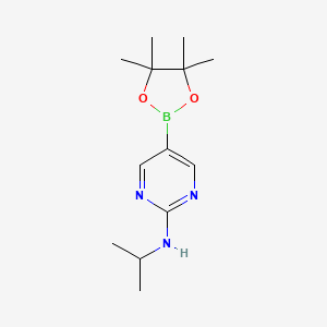 molecular formula C13H22BN3O2 B596448 N-Isopropyl-5-(4,4,5,5-tetramethyl-1,3,2-dioxaborolan-2-yl)pyrimidin-2-amine CAS No. 1218791-46-8