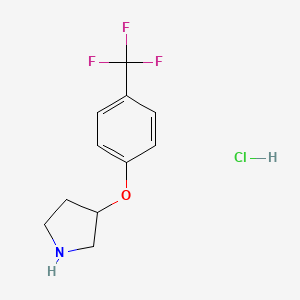 molecular formula C11H13ClF3NO B596520 3-(4-(Trifluoromethyl)phenoxy)pyrrolidine hydrochloride CAS No. 1211511-40-8