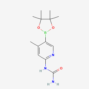 molecular formula C13H20BN3O3 B596543 1-(4-Methyl-5-(4,4,5,5-tetramethyl-1,3,2-dioxaborolan-2-yl)pyridin-2-yl)urea CAS No. 1351206-44-4